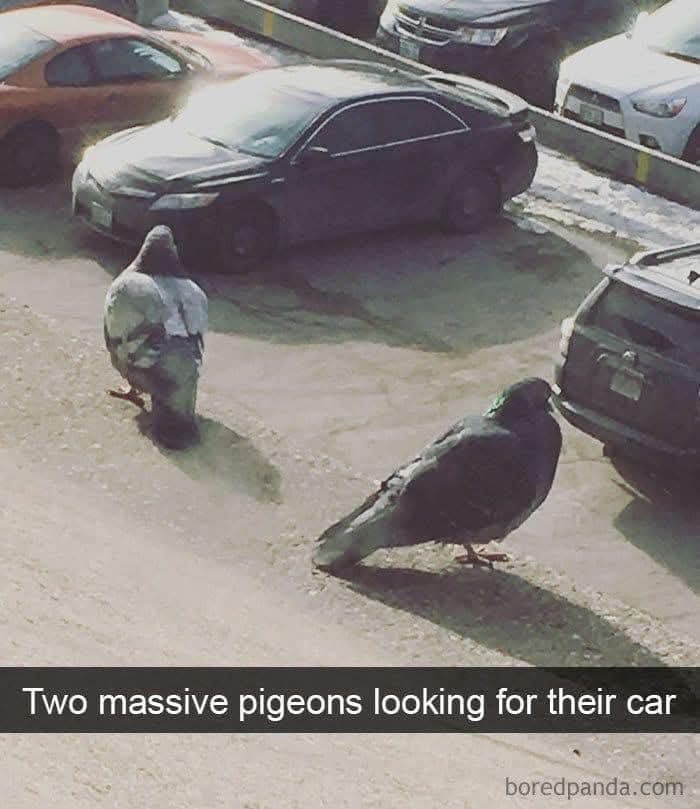 Illusion (took me 2 min to see) - meme