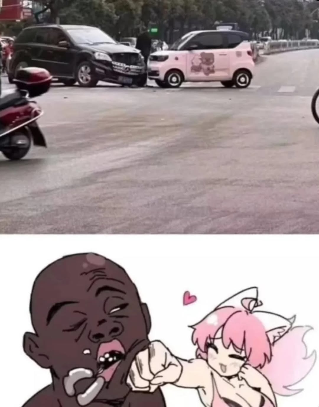 El carrito de temu aguantó - meme