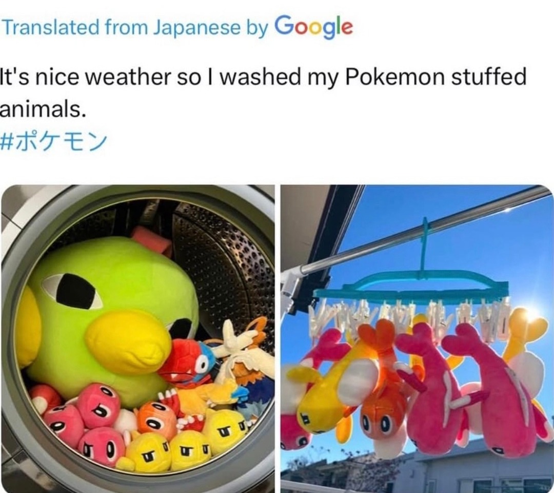 Perfect day to wash your Pokémon plushies - meme