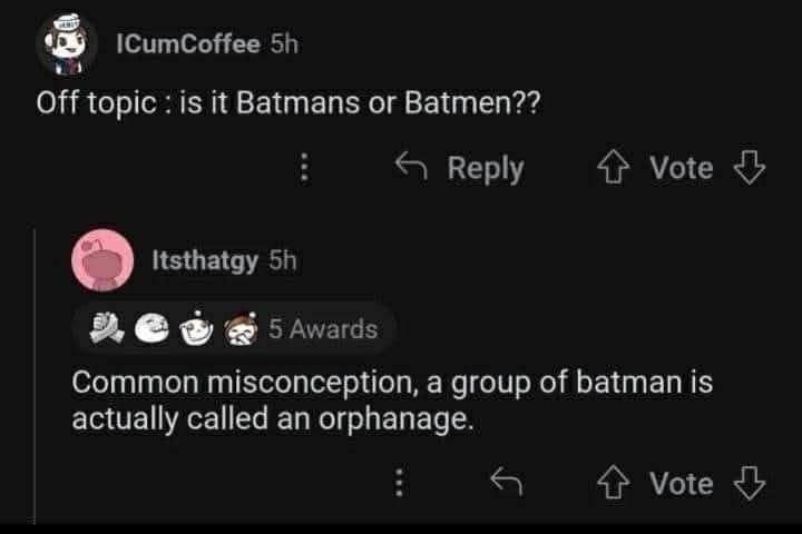 It's not Batmen. It's an orphanage. - meme