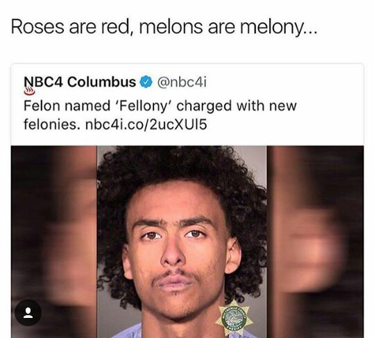 Melons - meme