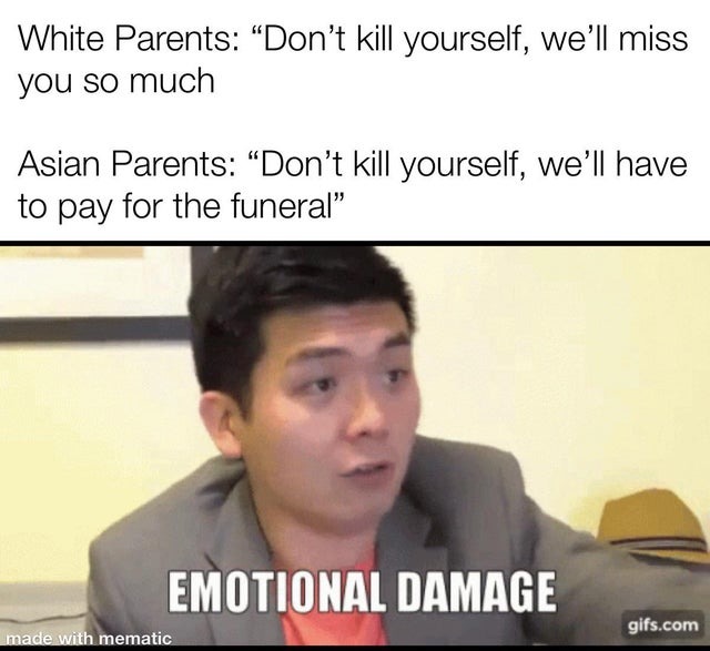 Asian Emotional Damage - meme