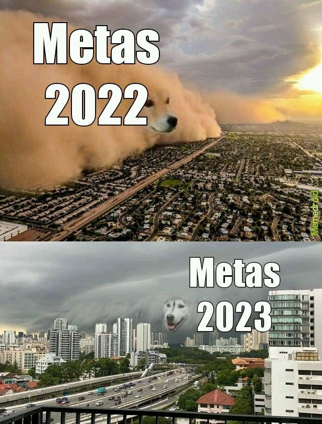 Metas 202X - meme