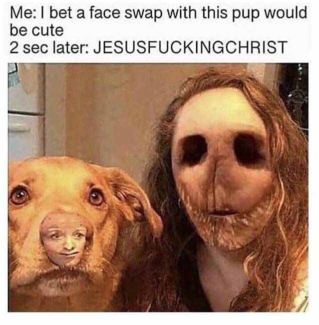 face swap - meme