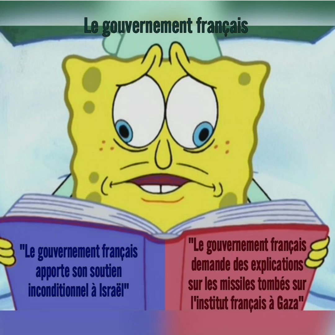 Le gouvernement français - meme