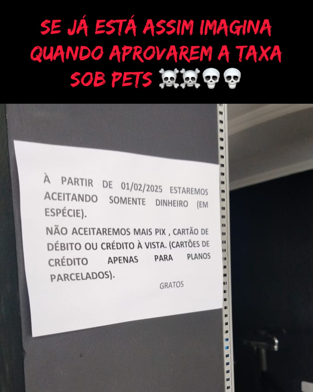 Terei de sacrificar os pokemons - meme