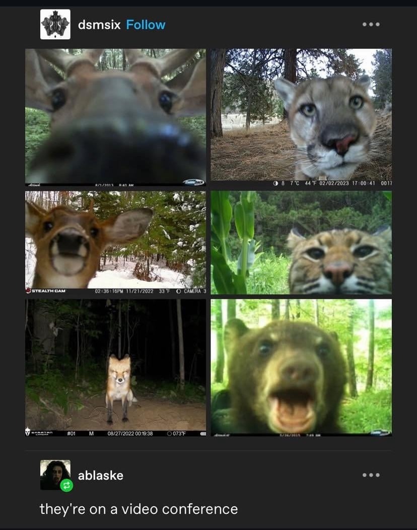 Zoom meeting energy: blurry, cursed, and slightly demonic - meme