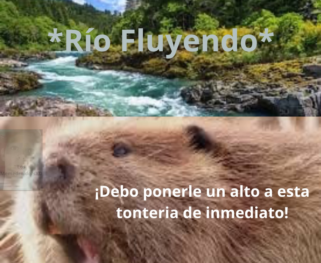 Castor vs Río - meme