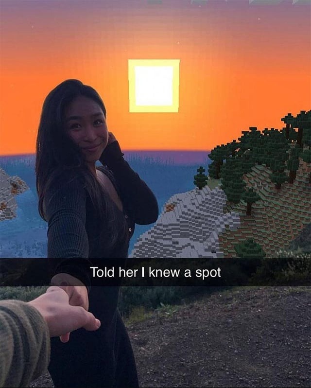 said I knew a spot... it was emotional damage - meme