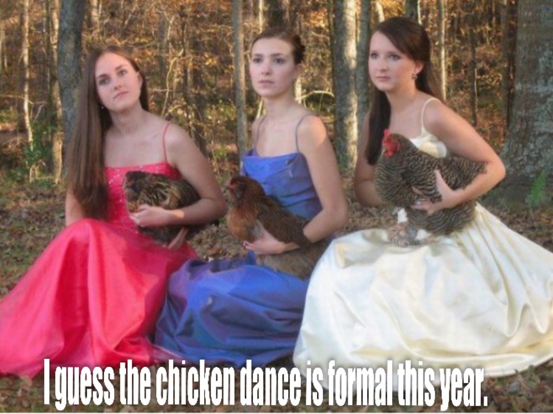 School Photos - I guess they take the chicken dance more seriously these days. - meme