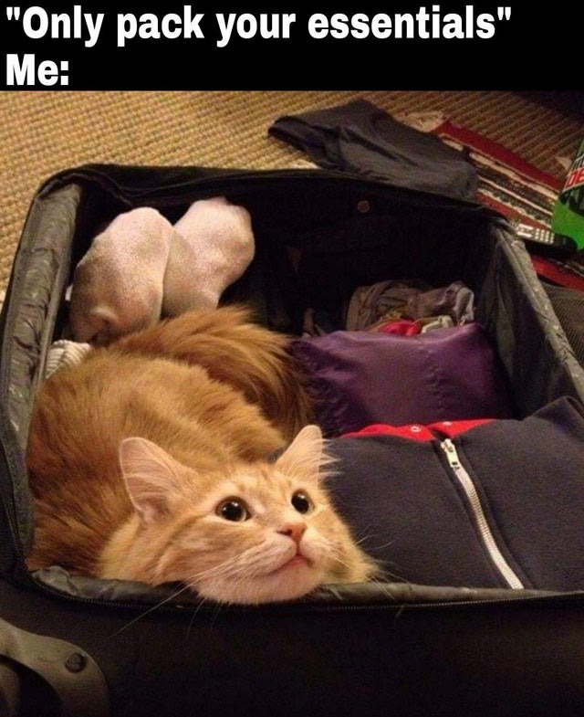 Pack only your essentials - meme