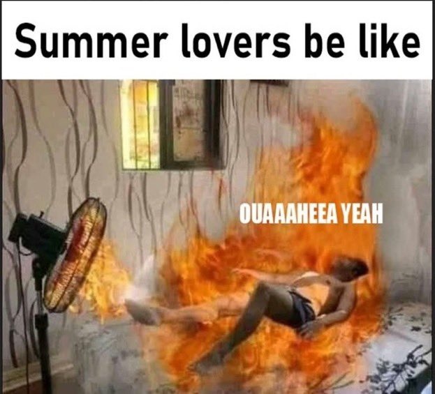 summer lovers - meme