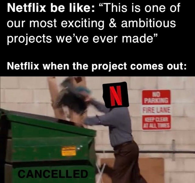 Netflix new projects - meme