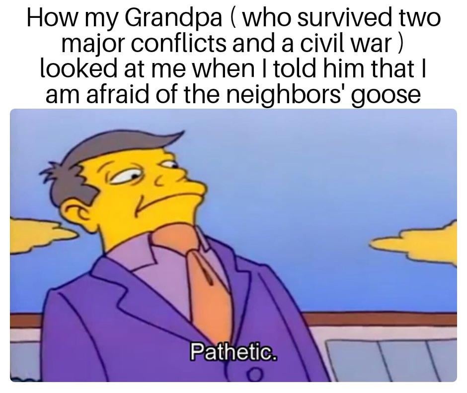 Pathetic meme
