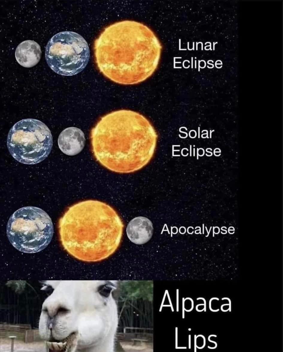 Alpacalypse - meme