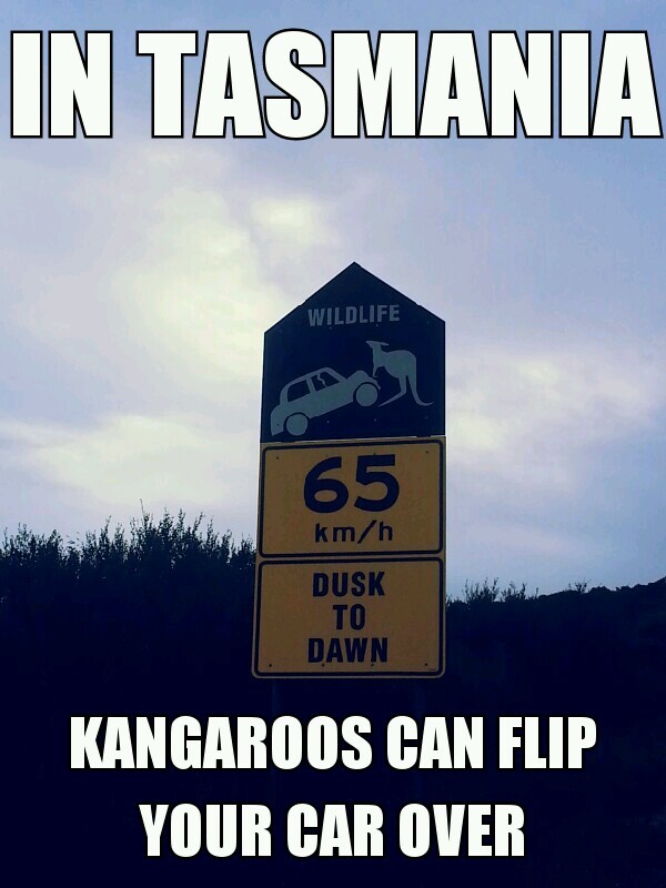 found this in tasmania - meme