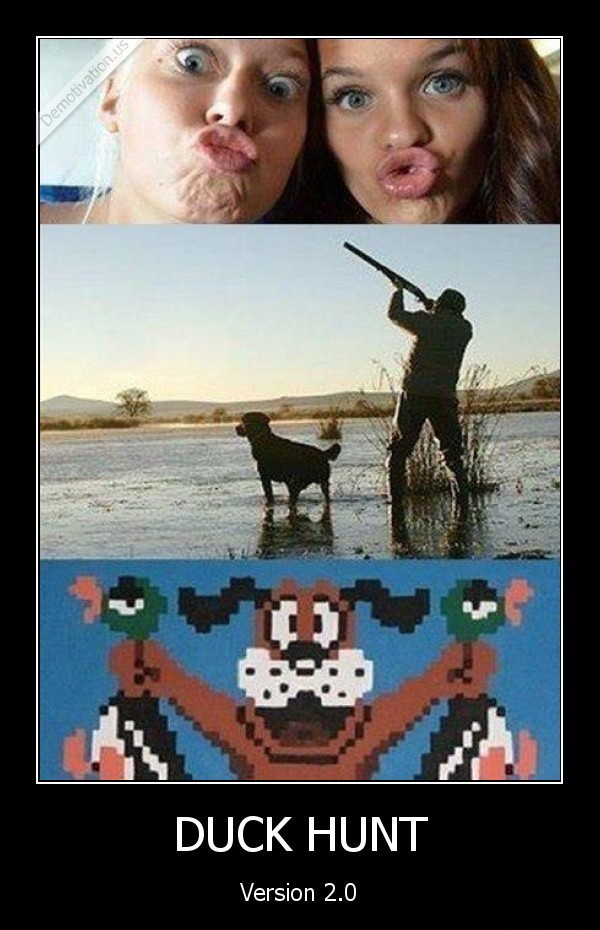 Duck hunt - Meme subido por soydolphin :) Memedroid