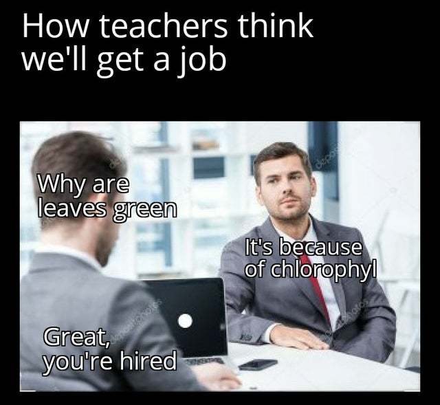 How teachers think we will get a job - meme