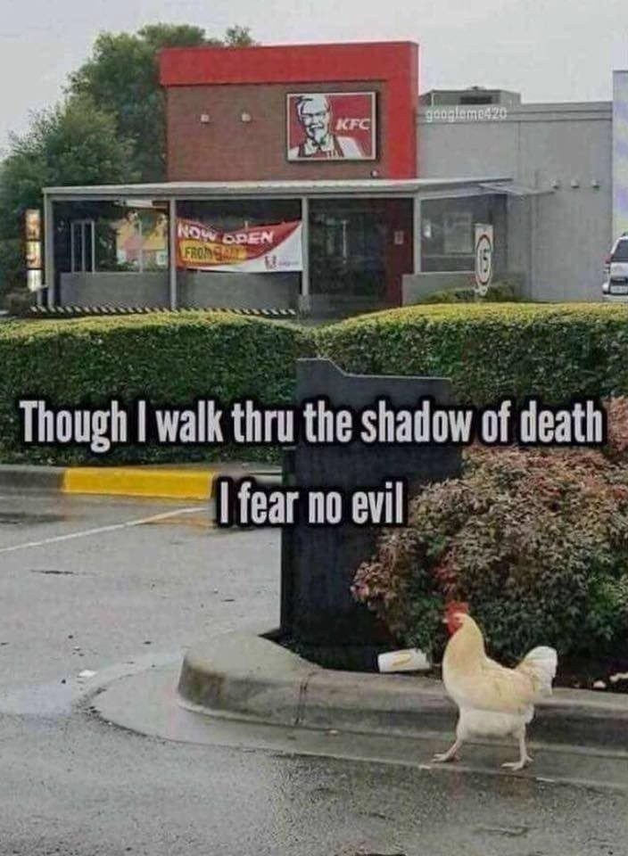 Fearless chicken - meme
