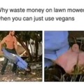 good vegan meme