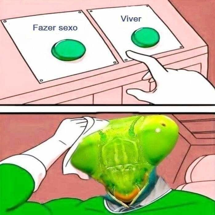 Dilema brabo ! - meme