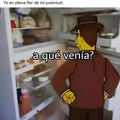 abriendo el frigorífico sin saber que hacía en la cocina - meme