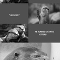 we're otters