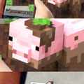 Minecraft pigs be like
