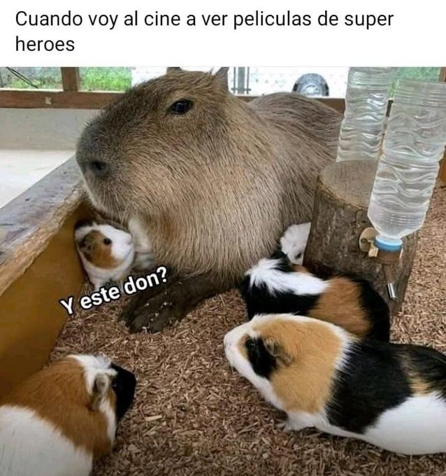 yendo a ver películas de superhéroes como un joven adulto - meme