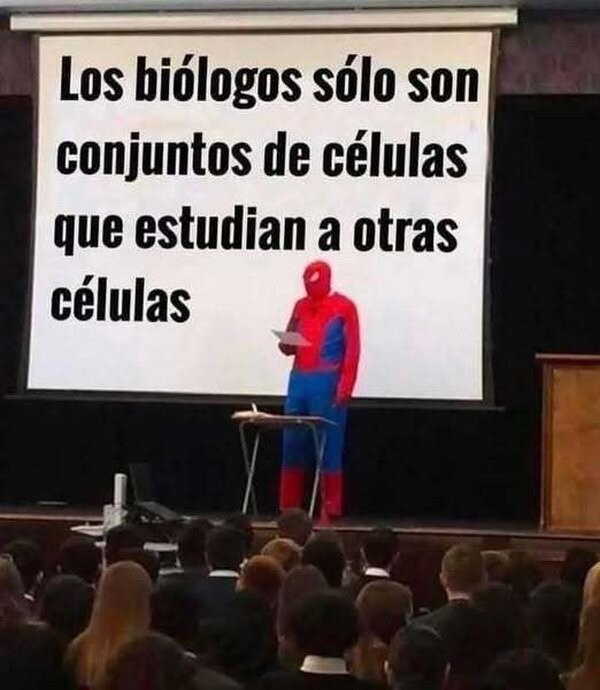 ABSURDO Y FILÓSOFICO - meme