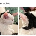 commented item thumbnail