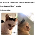 snowflake will eat your soul