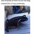 frog bag