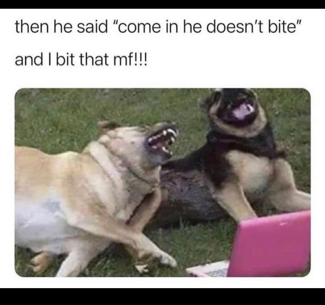 Bite - meme