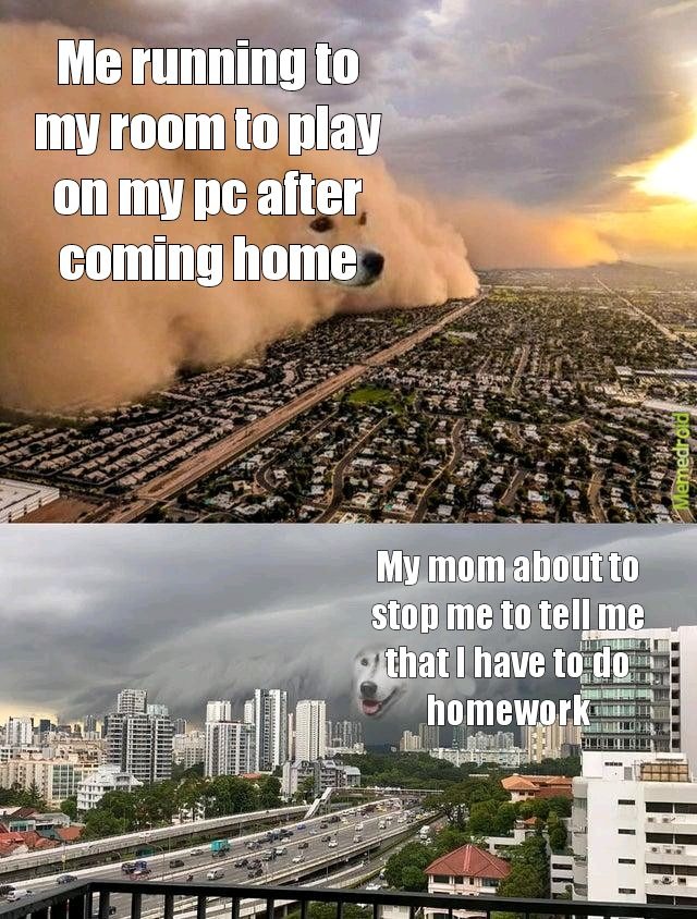 Coming home logic - meme