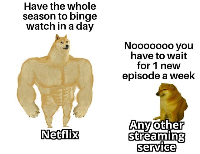 Netflix was nice - meme