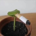 commented item thumbnail