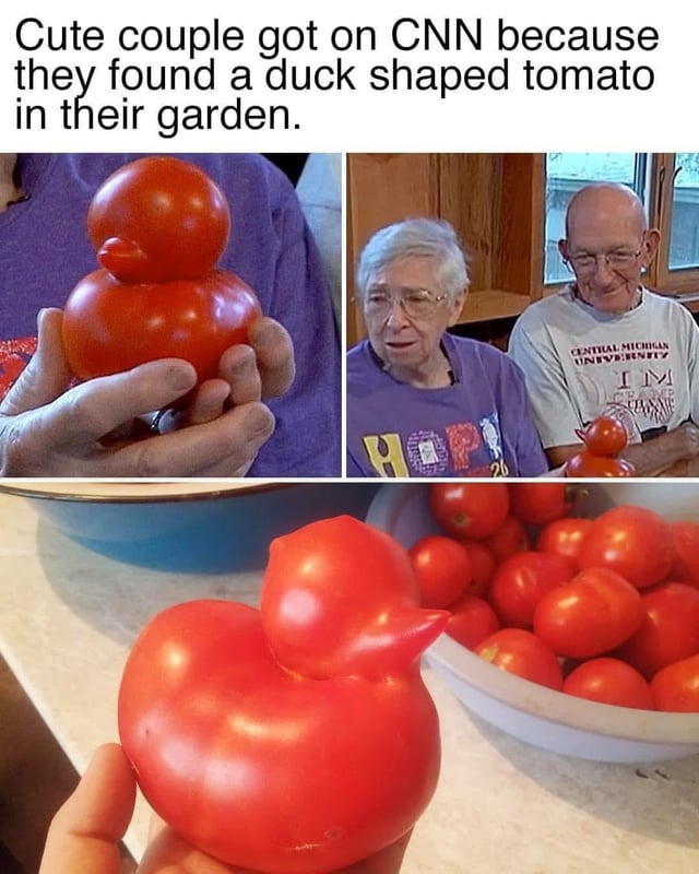 Duck shaped tomato - meme