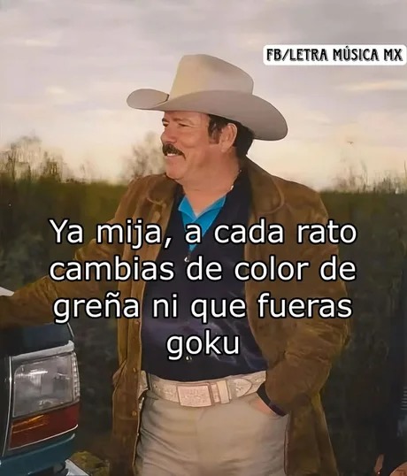 Morras que cambiar de color de pelo a la minima - meme
