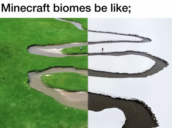 MeinKampf - meme