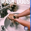 Wash Dogs
