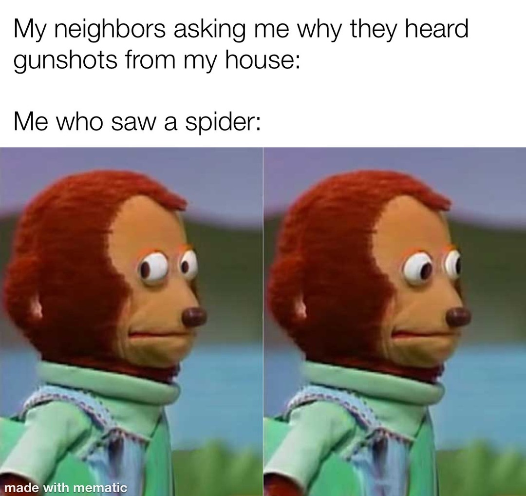 No spiders allowed - meme