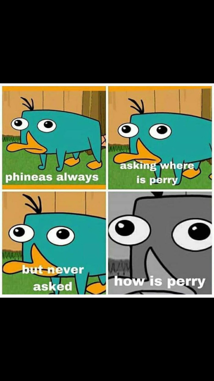 Pauvre Perry... - meme
