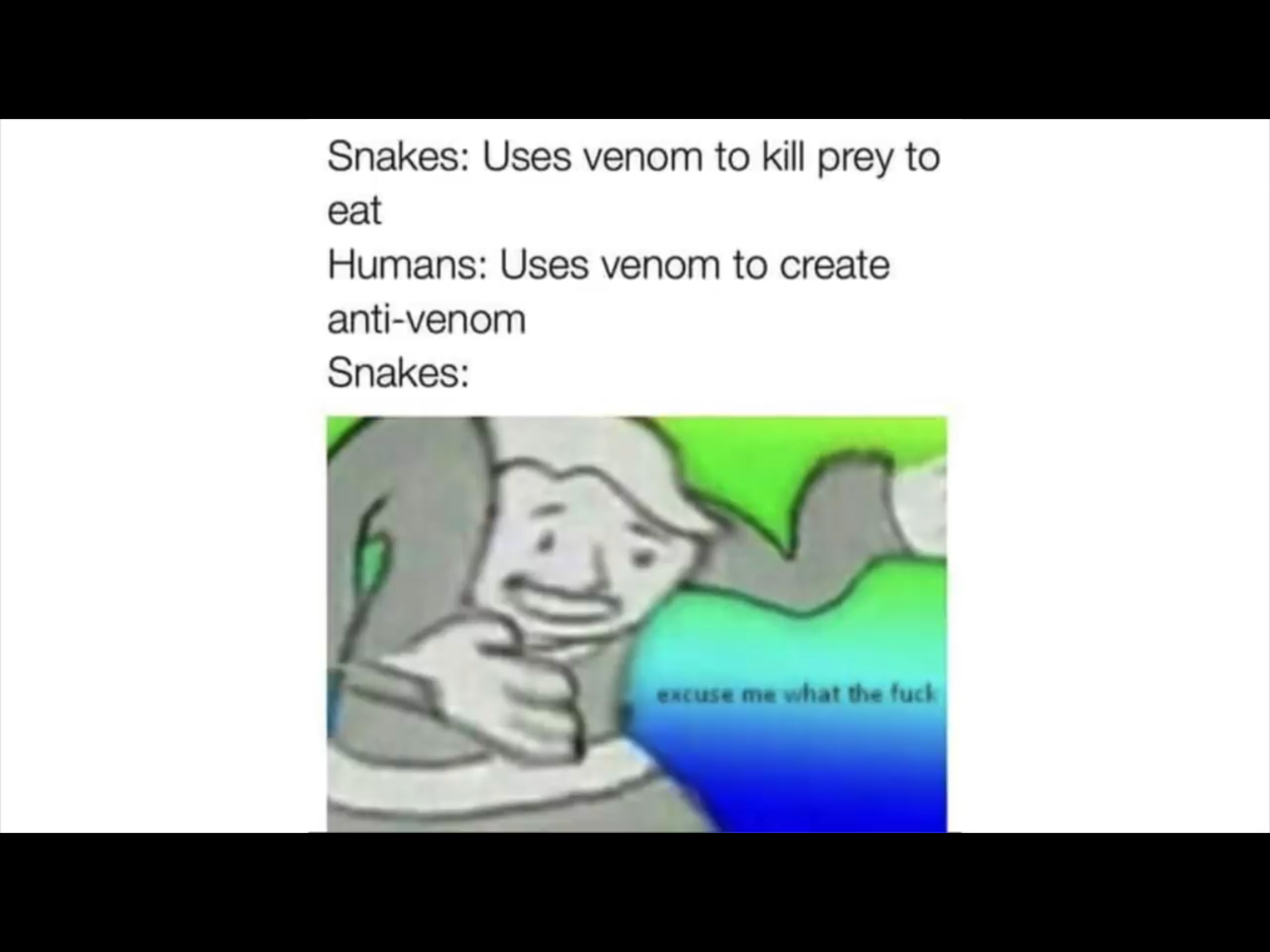 Poor snake - meme