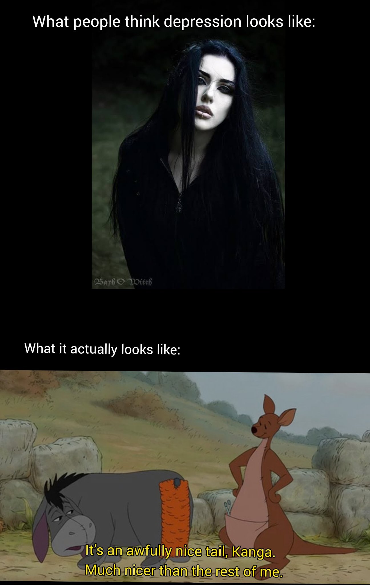 Eeyore in real life would probably get mad bitches - meme
