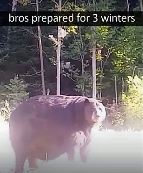 bros prepared for 3 winters - meme