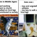 Cats in Middle Ages
