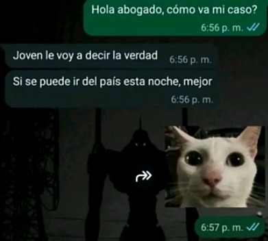 Xd - meme