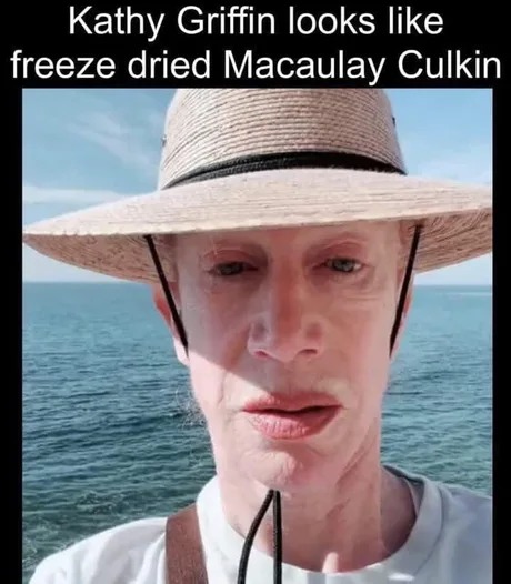 Kathy Griffin meme