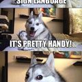 Doge does a funny